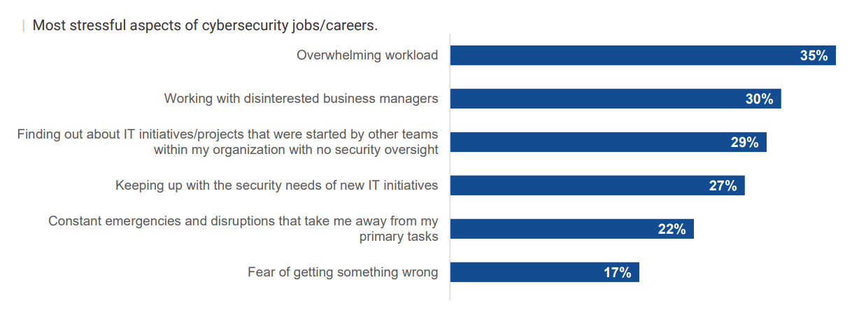 Aspects of Cybersecurity Stress